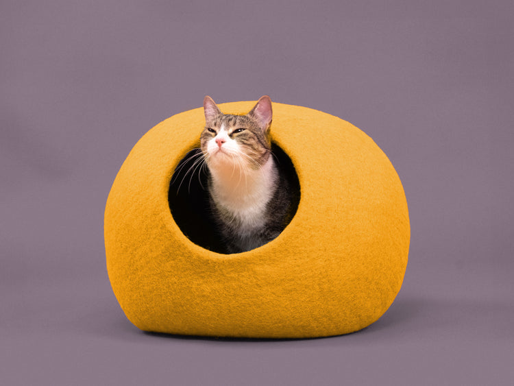 Risa kattgrotta